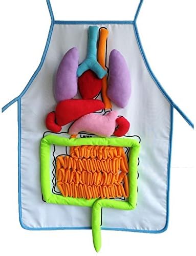 Wanqiaoquj What's Inside Me Anatomy Apron Human Body Organs Awareness Educational Insights Toys for Children Preschool Science Homeschool Teaching Aid
