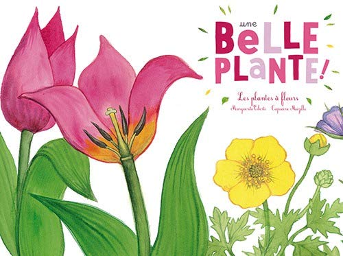 Une belle plante : Les plantes à fleurs by 