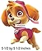 5 Inch Skye Paw Patrol Pup Wall Decal Sticker Pups Puppy Puppies Dog Dogs Removable Peel Self Stick Adhesive Vinyl Decorative Art Kids Room Home Decor Children 5 1/2 x 5 1/2 inches