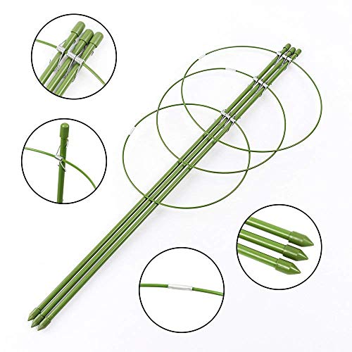 Alapaste Plant Support Ring Garden Trellis Plant Support Cage with 3 Adjustable Rings for Potted Climbing Plants Vegtables Flowers - Thumbnail 3