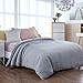 Royhom Duvet Cover for Weighted Blankets 48 x 72 Inches - Removable Weighted Blanket Cover - Soft Minky Dot, Gray