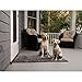 Dog Gone Smart Dirty Dog Doormat - Fast Drying Rug with Super Gripper Backing for Clean Floors - Super Absorbent Microfiber and Machine Washable Mat for Muddy Paws - Maroon