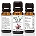BioFinest Tulip Oil - 100% Pure Tulip Essential Oil -Promote Restful Sleep, Relieve Stress- Premium Quality - Therapeutic Grade - Best For Aromatherapy - FREE E-Book (10ml)