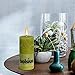Bolsius Rustic Set of 6 Unscented Pillar Candles 2.75X5 Inch Lime Home Decoration Dripless Cotton Wick Dinner Candles Prefect for Parties, Restaurant, Spa, Church, Anniversary, (130x68mm)