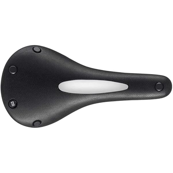 Amazon.com : Brooks England C15 Carved Cambium All Weather - Black