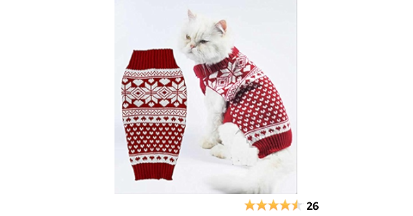 amazon cat sweater