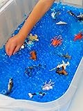 Create fun Ocean Sensory table with 8oz Blue Cosmo Beads Water Beads and Growing Sea Life Characters