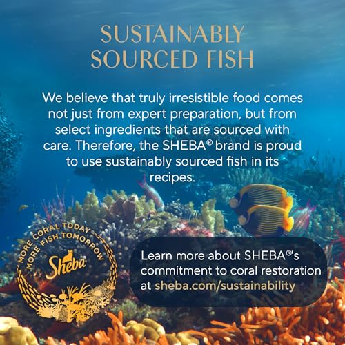 SHEBA PERFECT PORTIONS WET CAT FOOD CUTS IN GRAVY, WITH SUSTAINABLE SALMON, TENDER TROUT ENTREE, AND WITH SUSTAINABLE TUNA, 2.6 OZ. TWIN-PACK TRAYS (24 COUNT, 48 SERVINGS)