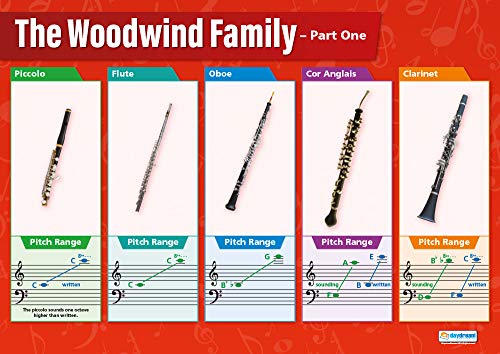 Woodwind Instruments (1) | Music Posters | Laminated Gloss Paper measuring 33” x 23.5” | Music Charts for the Classroom | Education Charts by Daydream Education