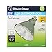 Westinghouse 0311000 15-Watt (Replaces 90-Watt) PAR38 Bright White LED Flood Outdoor Wet Location Light Bulb with Medium Base