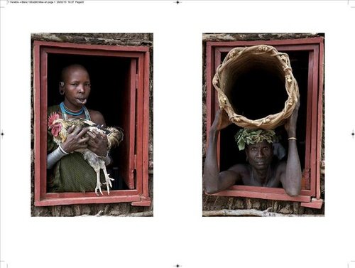 Amazonfr Fenêtre Sur Lafrique Hans Silvester Livres - 