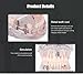 Removable Adult Teeth Study Dental Pathological Disease Implant Teaching Typodont Model - Dentist Standard