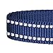 Blueberry Pet Essentials Durable 3M Reflective Classic Dog Leash 5 ft x 3/4