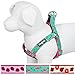 Blueberry Pet Step-in Pink Flamingo on Light Emerald Dog Harness, Chest Girth 15.5
