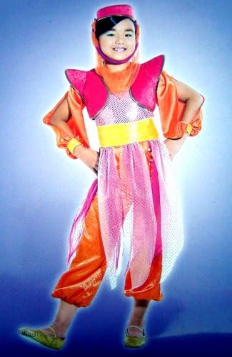 Princess of Arabian Girls Halloween Costume (Girls Size Large 10-12)