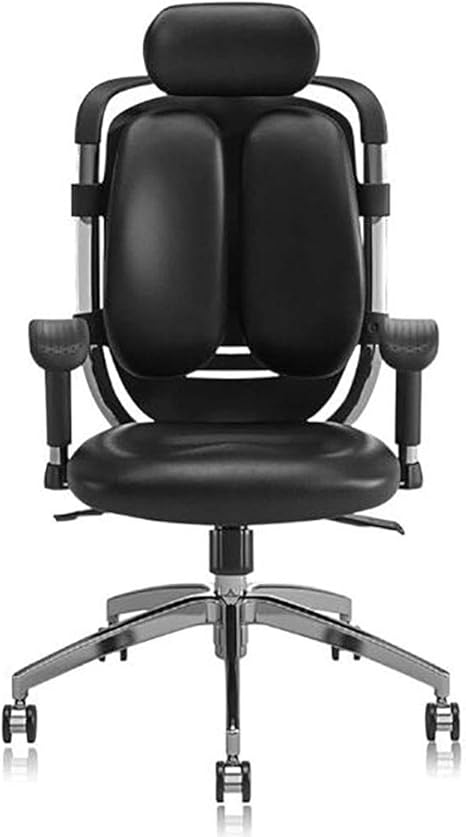 Juego de Silla, silla de la computadora, silla ergonómica, silla