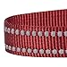 Blueberry Pet Essentials Safe & Comfy 3M Reflective Adjustable Dog Collar - Marsala Red, Medium, Neck 14.5