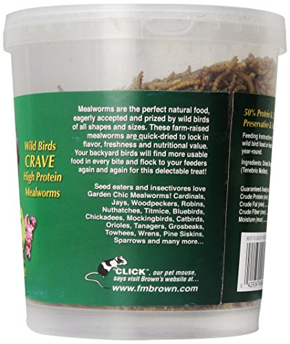 F.M. Brown's Garden Chic Mealworms - Image 4