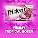 Trident Dragon Fruit Lychee Sugar Free Gum - with Xylitol - 12 Packs (168 Pieces Total)