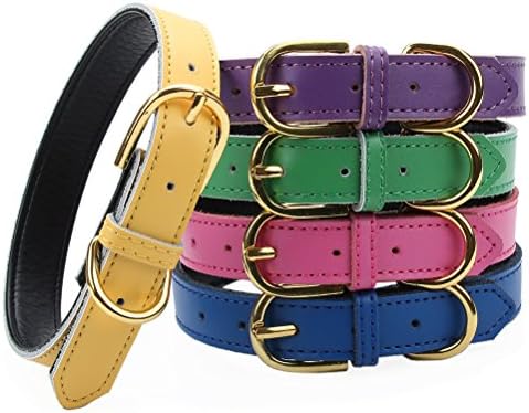 Basic Classic Padded Leather Pet Collars for Cats Puppy Small Medium Dogs (X-Small (Neck 8.0"-10"), Yellow)