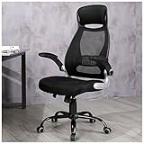 Veigar Ergonomic High Back Mesh Office Chair with Adjustable Armrest Computer Chair Desk Chair Task Chair Swivel Chair (Black)