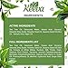 Keeva Organics Acne Treatment Cream With Secret TEA TREE OIL Formula - Perfect For Acne Scar Removal, Fighting Breakouts, Spots, Cystic Acne - See Results in Days Without Dry Skin (6oz)