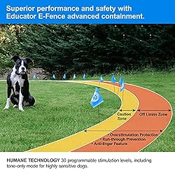 Educator RX-1000 Receiver On Biothane Collar for