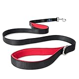 Double Handle Dog Leash, 5 ft Long with Padded Traffic Handle for Full Control, Heavy Duty Dog Leash, D-Ring for Accessories, Excellent for Safety Training, Walking, Running or Hiking by Mismuris