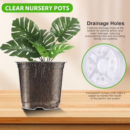 auriikoop 36 Pieces Plastic Pots, 13/15/18 cm Transparent Orchid Pots with Drainage Holes for Indoor and Outdoor Plant Cuttings