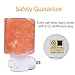 SMAGREHO Natural Himalayan Salt Lamp Night Light Crystal Salt Lamp Hand Carved Wall Light Used for Lighting, Decoration and Air Purifying, UL-Approved Plug