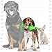 SILLY SQUEAKERS – Heinie Sniff'n Beer Bottle - Dog Toy - 100% Vinyl. Made Durable & Strong. Novelty Play Toy. 14 Bottles to Choose from and it Floats