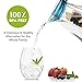 Home Ikon 2.5 liter Fruit Infuser Water Pitcher w/Ice Core | BPA Free, High-Grade Acrylic Water Infuser Jug Perfect For Healthy Fruit Infusions & Cold Beverages