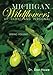 Michigan Wildflowers: Up Close and Personal: Spring Volume (Volume 1) by Dr Dee Howe