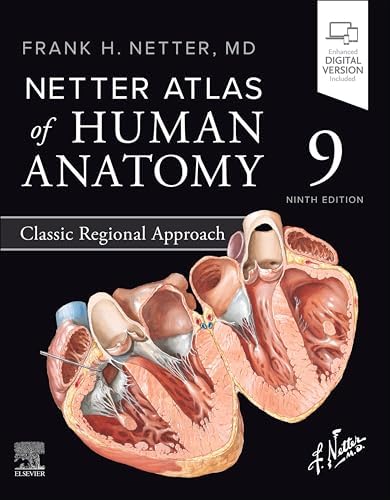 Amazon.com: Atlas of Human Anatomy E-Book: Digital eBook (Netter