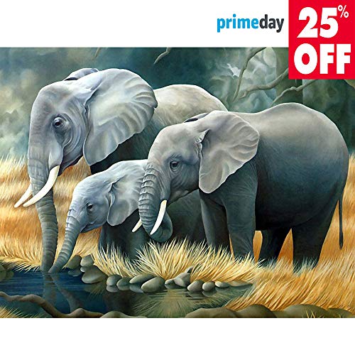 DIY 5D Diamond Painting Kit, Full Drill Elephant Embroidery Painting for Home Wall Decor Painting Arts Craft (Elephant)