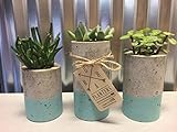 Concrete Succulent Planters / Air Plant Holder. Urba planters (set of 3) Blue Aqua.