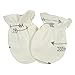Gerber Baby Boys' 4-Pair Mittens, Explore, 0-3 Months