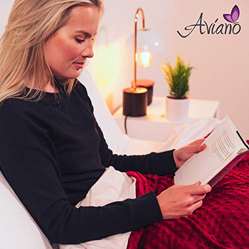 Aviano Premium Weighted Blanket for Adults or Couples 30 lbs with