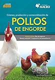 Image de CRIANZA PRODUCCION Y COMERCIALIZACION DE POLLOS DE ENGORDE