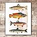 DREAM BIG PRINTABLES Vintage Fishing Decor Art Print - Unframed - 8x10 | Farmhouse Decor | Wall Art for Cabin, Lake House, or Fishing Enthusiast | Made in USA