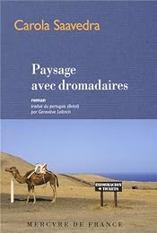 Paysage avec dromadaires
