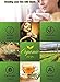 WHOLE DRIED STEVIA LEAVES, Green Stevia Leaf (2oz.) (56.82 grams.) 100% Natural from South America. 