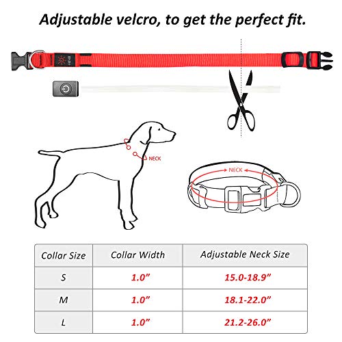 BSEEN Light Up Dog Collars - USB Rechargeable Glowing LED Puppy Collar, Light Up Collars for Nighttime Dog Walking (Small, Ruby Red)