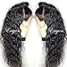 Eayon Hair 360 Lace Frontal Wig Human Hair 180% Density Water Wave Brazilian Remy Lace Wigs with Baby Hair for Black Women 16 inches Natural Color