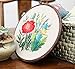 Embroidery Kits with Colorful Flower and Plant Designs; Embroidery Starter Sets with Patterns – Perfect Embroidery Beginner Kit with Hoop, Threads, Tools and Stamped Cloth