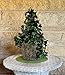 Mosser Lee Sphagnum Moss Pole for Indoor Plants, Monstera Moss Pole, Plant Pole Made in USA - Ideal for Climbing Plants, Enhances Plant Growth & Stability - 12
