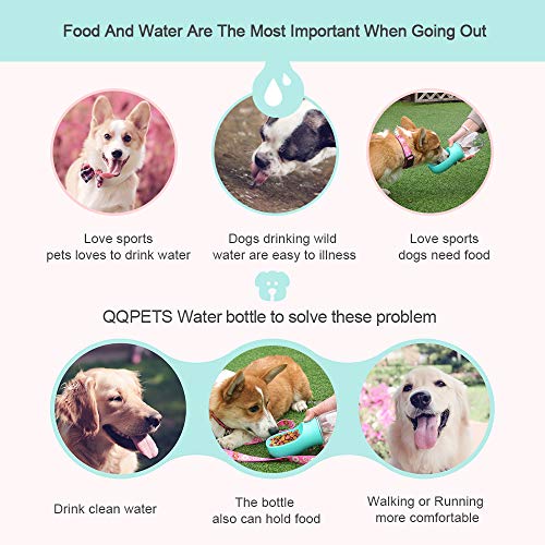 qqpets dog water bottle