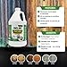 RMR-86 Instant Mold Stain and Mildew Stain Remover Plus Mold Stain Blocker (1 Gallon)