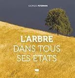 L'arbre dans tous ses états by