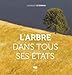 L'arbre dans tous ses états by